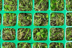 Сетка пластиковая от кротов Black Mole 1х10м