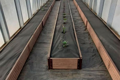 Доска грядочная Holzhof 150*25*2950мм