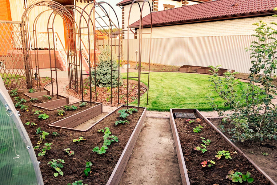 Доска грядочная Holzhof 225*30*2950мм